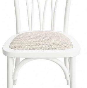 Silla Andes