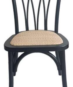 Silla Andes