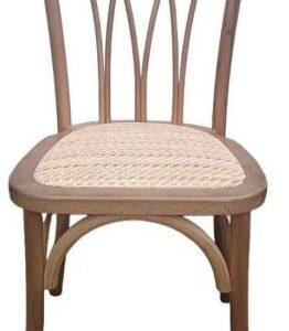 Silla Andes